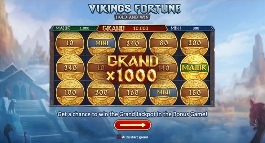 Viking Fortune slot